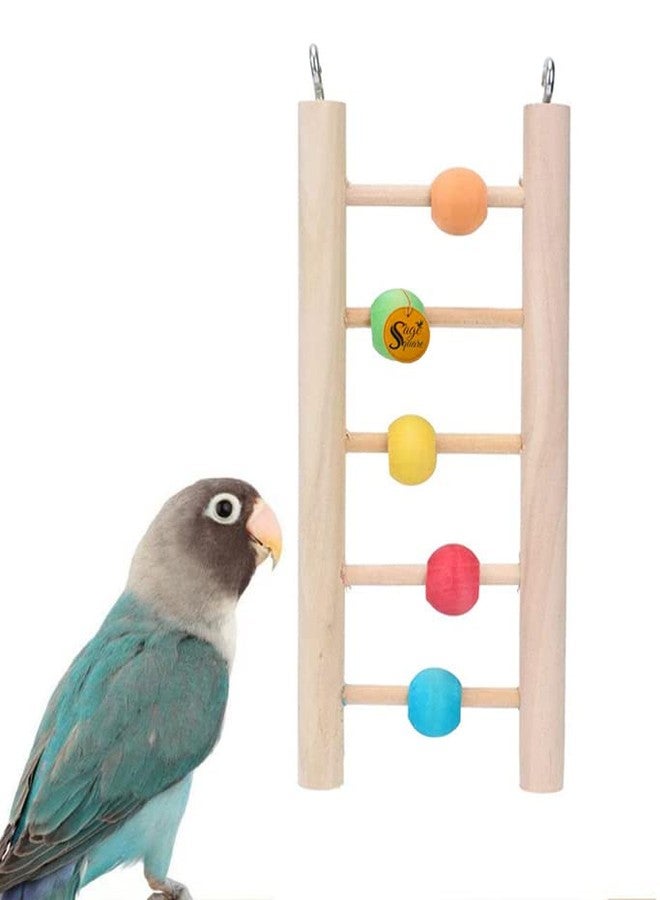 Sage Square Ladder Toy Natural Wood, Colorful Beads, Wooden Material, Safe and Non-Toxic, Keep Chewing Safe for Parakeets, Parrots, Cockatiel, Budgies, Canaries,Finch, African Grey - Image 2